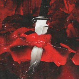 Meet your Posher, Lucas